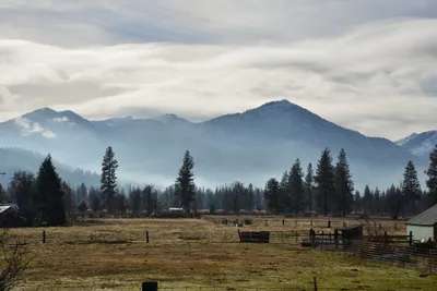 DSC_5833 (Large).JPG